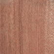 sapele